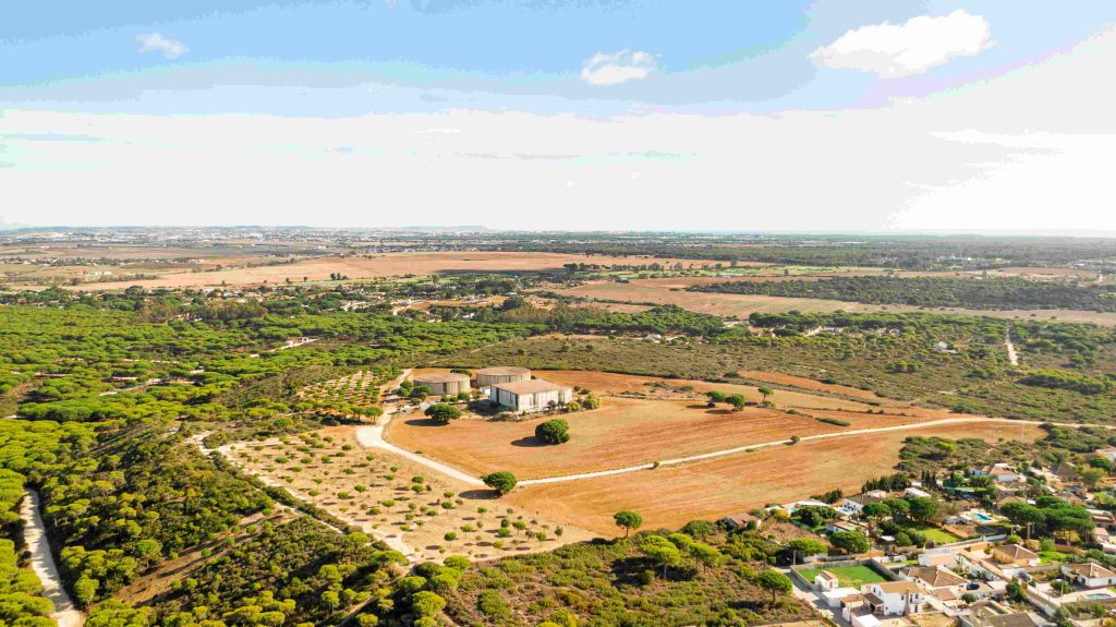 Domaine national et domaine public au Sénégal : Comprendre les différences