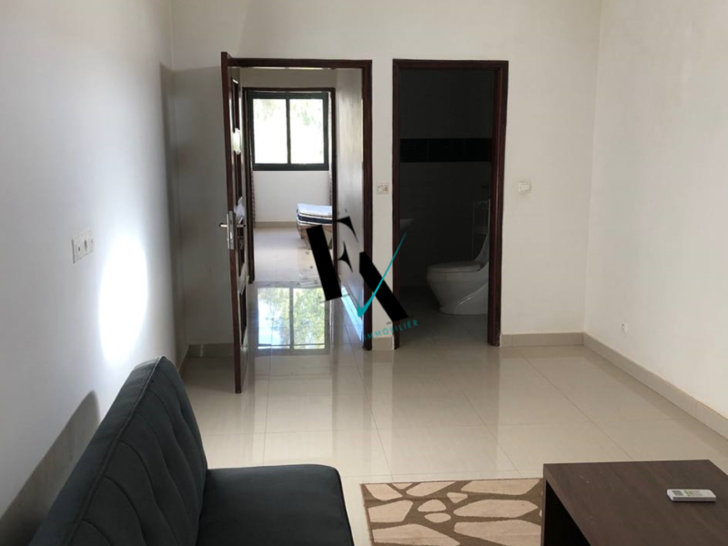 Studio non meublé à louer