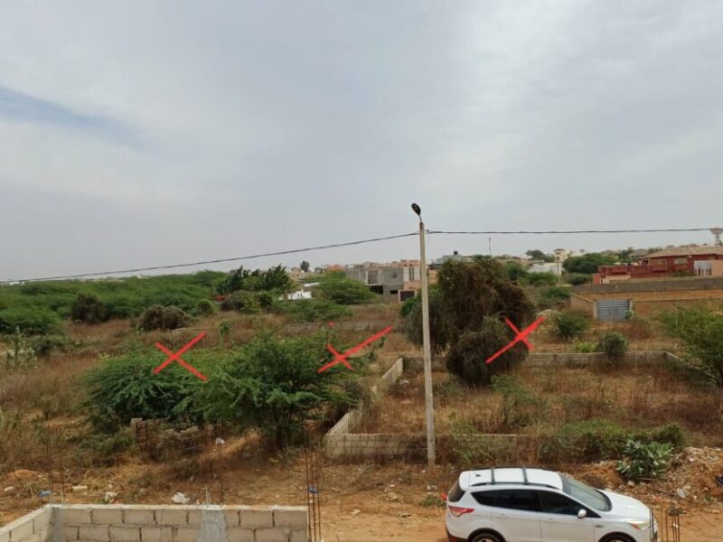 Terrain de 300 m² à vendre – Toubab Dialaw